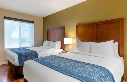 Guasti Hotel | Comfort Inn & Suites Near Ontario Airport
