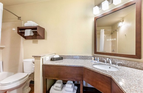 Santa Ana Hotel | Comfort Inn & Suites Orange County John Wayne Airport