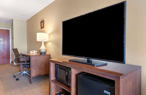 Sanford Hotel | Comfort Inn & Suites Orlando North