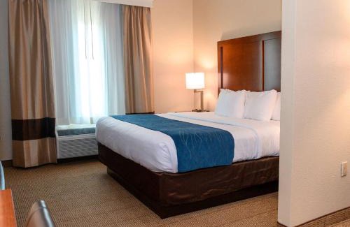 Charleston Hotel | Comfort Inn & Suites Patriots Point