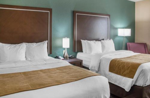 San Marcos Hotel | Comfort Inn & Suites San Marcos near Outlet Mall