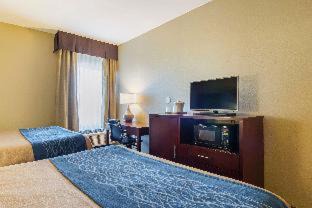 SeaTac Hotel | Comfort Inn & Suites Sea-Tac Airport