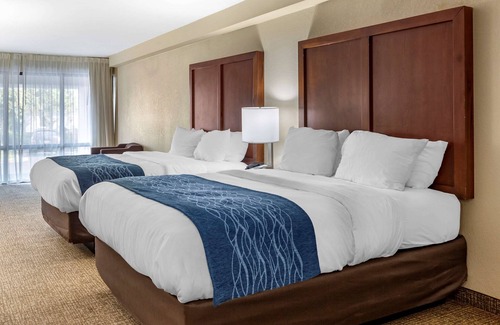 Pine Forest Hotel | Comfort Inn & Suites Spring Lake - Fayetteville near Fort Bragg