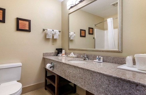 Statesboro Hotel | Comfort Inn & Suites Statesboro - University Area