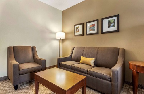 Streetsboro Hotel | Comfort Inn & Suites Streetsboro - Kent