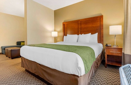 Florence Hotel | Comfort Inn & Suites