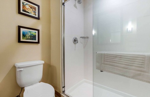 Florence Hotel | Comfort Inn & Suites