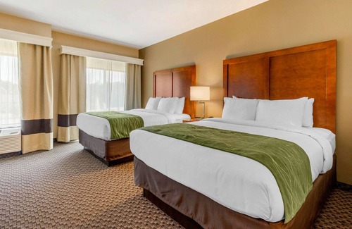 Florence Hotel | Comfort Inn & Suites