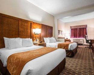Summerville Hotel | Comfort Inn Summerville - Charleston