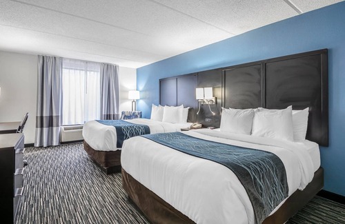 Gainesville Hotel | Comfort Inn University