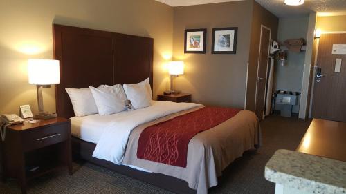 Idaho Falls Hotel | Comfort Inn