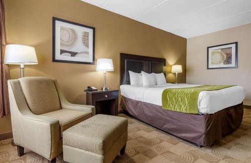 Warner Robins Hotel | Comfort Inn Warner Robins - Robins Air Force Base Area