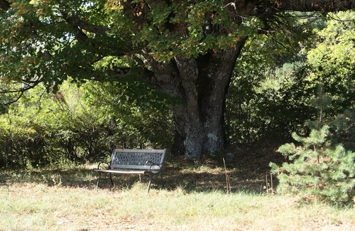 Revest-du-Bion Cottage | Comfort & silence in the heart of Provence nature.