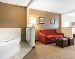 Boise Hotel | Comfort Suites Airport