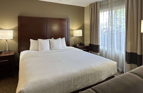 Paw Creek Hotel | Comfort Suites Airport