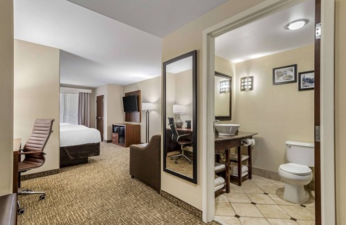 Town Center Hotel | Comfort Suites At Kennesaw State University