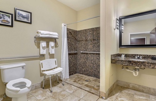 Town Center Hotel | Comfort Suites At Kennesaw State University