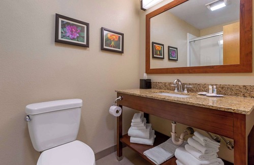 Boone Hotel | Comfort Suites Boone - University Area