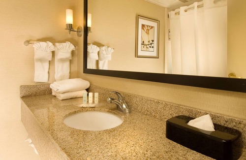 Chantilly Hotel | Comfort Suites Dulles Airport