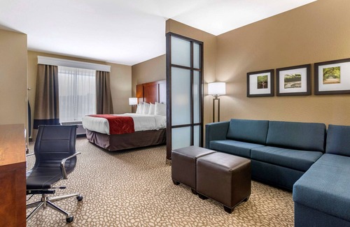 Florence Hotel | Comfort Suites Florence I-95