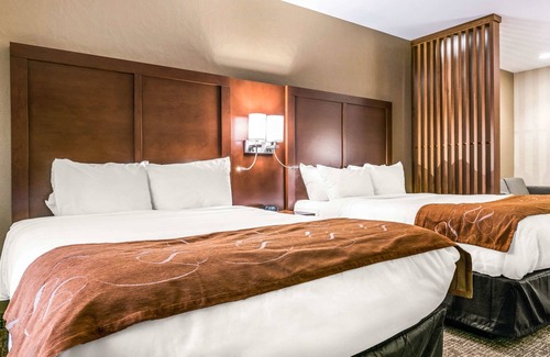 Florence Hotel | Comfort Suites Florence - Cincinnati South