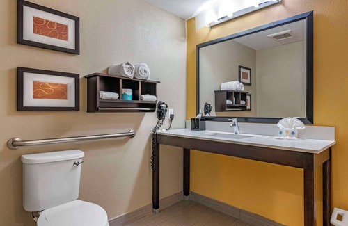Dania Beach Hotel | Comfort Suites Fort Lauderdale Airport South & Cruise Port