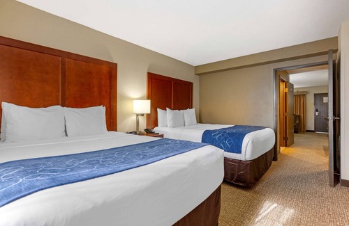 Fredericksburg Hotel | Comfort Suites Fredericksburg South