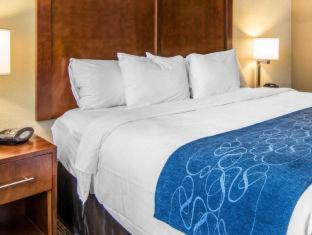 Fredericksburg Hotel | Comfort Suites Fredericksburg South