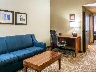 Fredericksburg Hotel | Comfort Suites Fredericksburg South