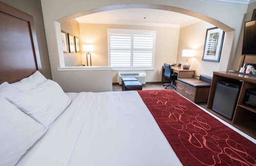 Raisin Hotel | Comfort Suites Fresno River Park