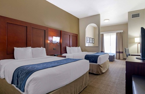 Gainesville Hotel | Comfort Suites Gainesville