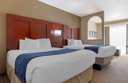 Gainesville Hotel | Comfort Suites Gainesville