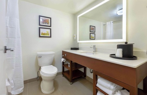 Winston - Salem Hotel | Comfort Suites Hanes Mall