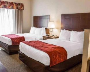 Huntsville Hotel | Comfort Suites Huntsville MidCity District at Research Park