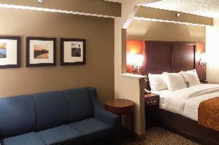 Alcoa Hotel | Comfort Suites Knoxville Airport
