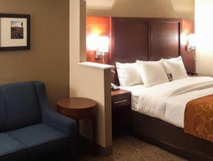 Alcoa Hotel | Comfort Suites Knoxville Airport