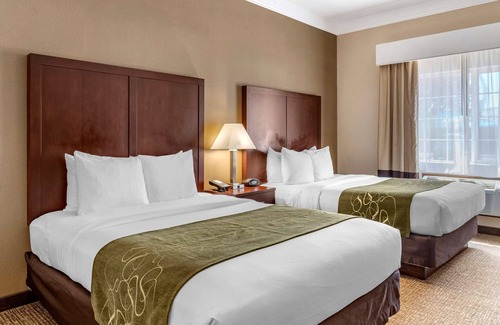 Albany Hotel | Comfort Suites Linn County