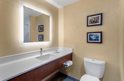 Locust Grove Hotel | Comfort Suites Locust Grove Atlanta South