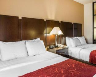 Macon Hotel | Comfort Suites Macon Northwest