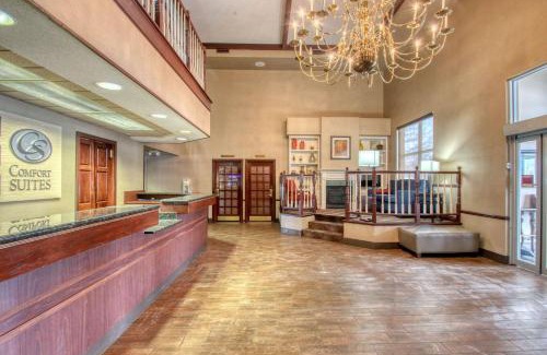 Madison Hotel | Comfort Suites Madison West - Middleton
