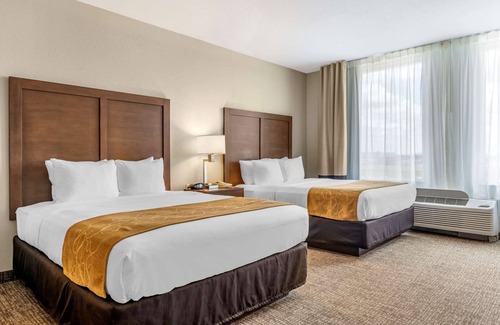 Kissimmee Hotel | Comfort Suites Maingate East