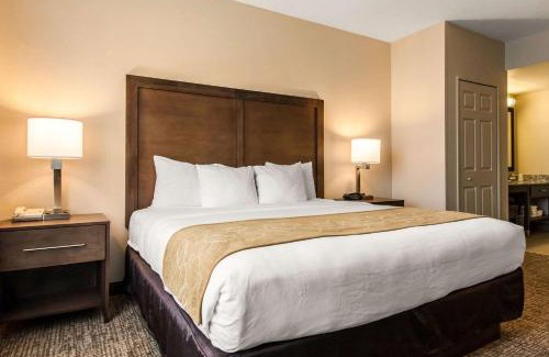 Kissimmee Hotel | Comfort Suites Maingate East
