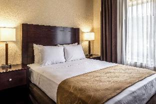 Marion Hotel | Comfort Suites Marion North