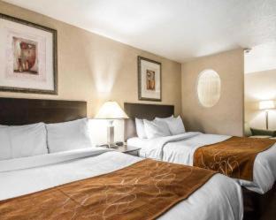 Merrillville Hotel | Comfort Suites Merrillville near US 30