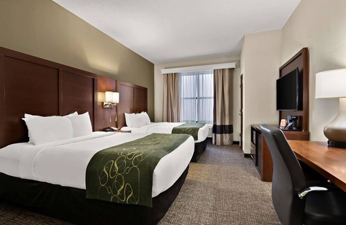 Nashville Hotel | Comfort Suites Nashville near Percy Priest Lake