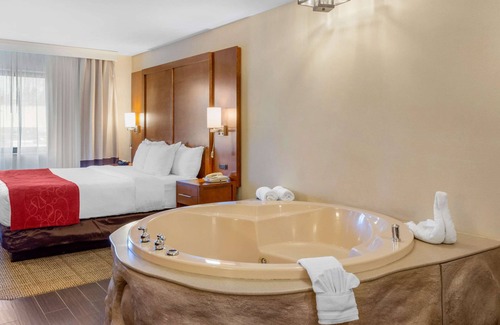 Oakbrook Terrace Hotel | Comfort Suites Oakbrook Terrace near Oakbrook Center