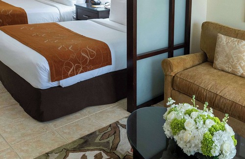 Paradise Island Hotel | Comfort Suites Paradise Island