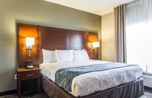 Pineville Hotel | Comfort Suites Pineville - Ballantyne Area