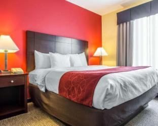 Rock Hill Hotel | Comfort Suites Rock Hill Manchester Meadows Area
