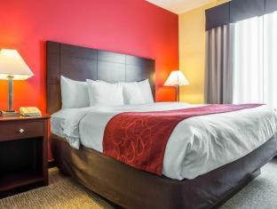 Rock Hill Hotel | Comfort Suites Rock Hill Manchester Meadows Area